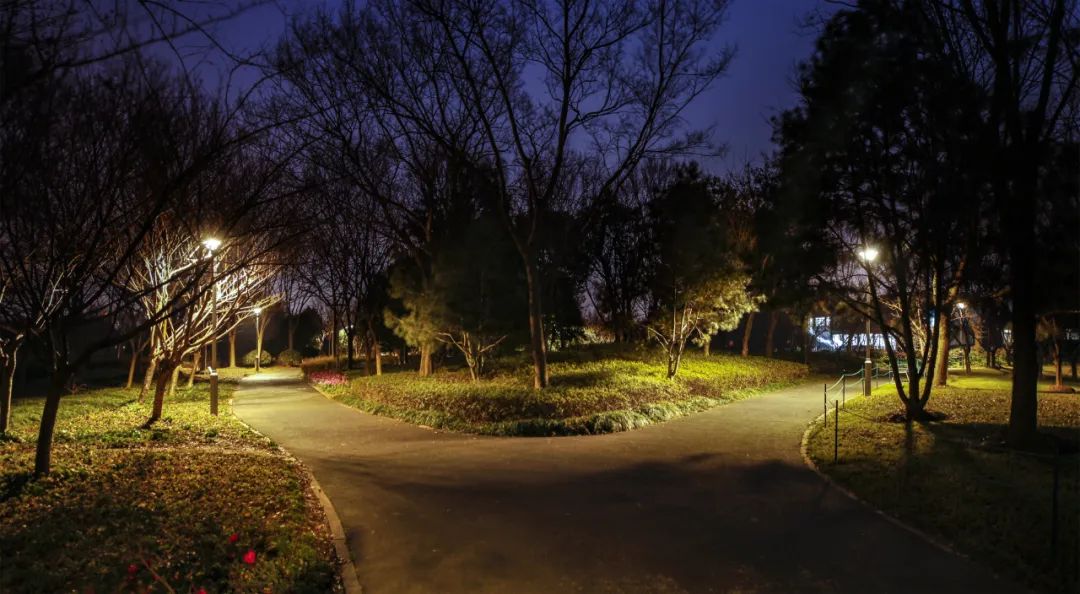 1652669576303201.jpg 1652669576303201.jpg