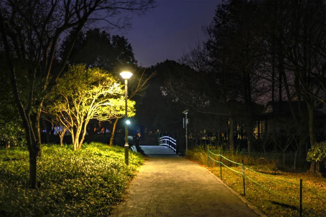 1652669734226244.jpg 1652669734226244.jpg