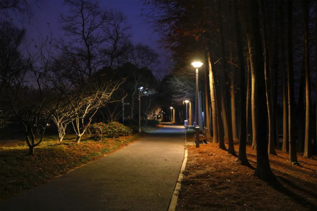 1652669841432088.jpg 1652669841432088.jpg