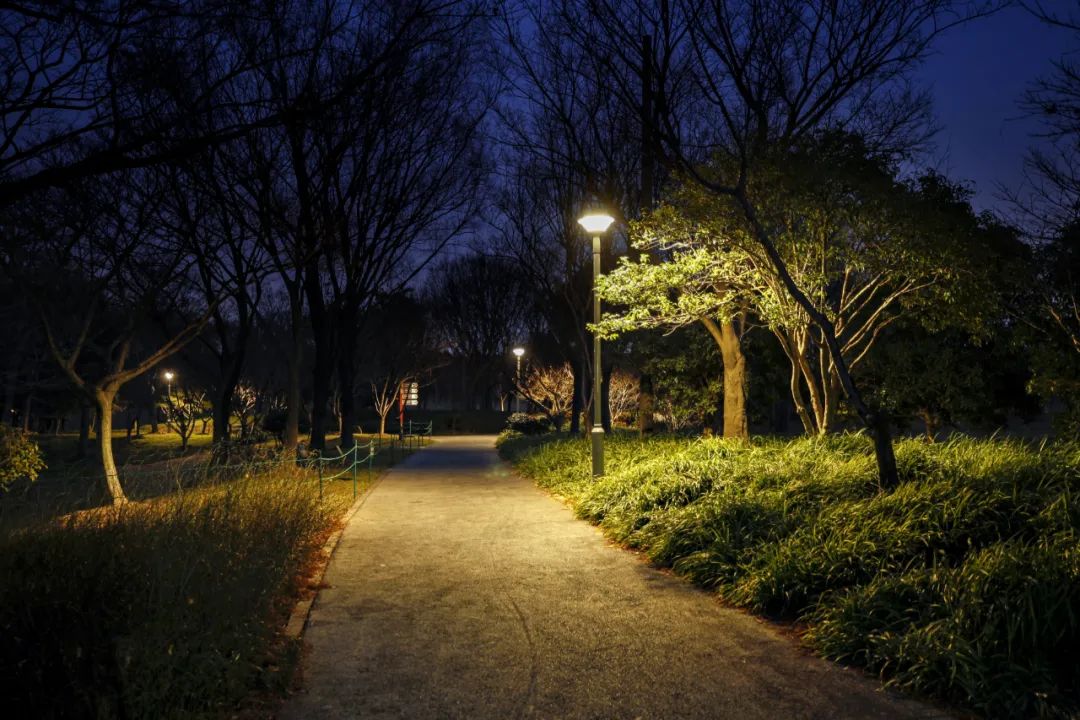 1652669882401062.jpg 1652669882401062.jpg